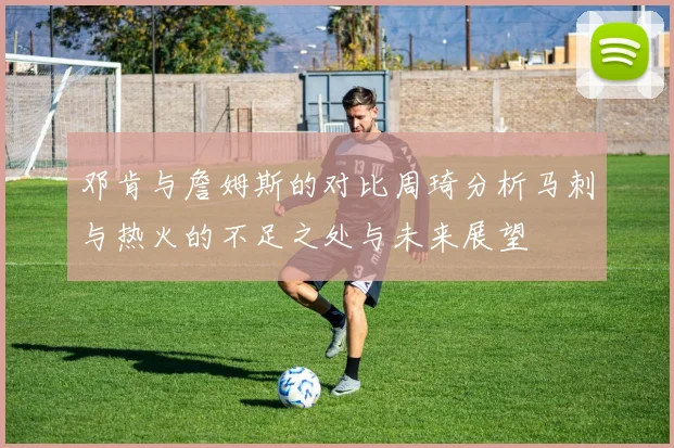 邓肯与詹姆斯的对比周琦分析马刺与热火的不足之处与未来展望